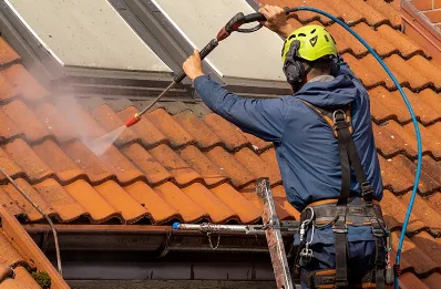 Démoussage et hydrofuge de toiture à Fénery